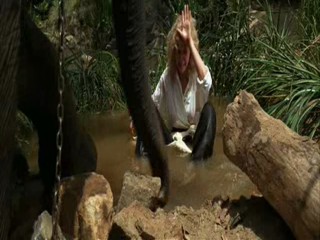 Indiana Jones and the Temple of Doom