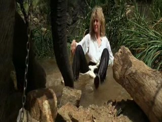 Indiana Jones and the Temple of Doom