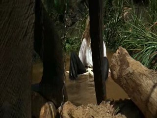 Indiana Jones and the Temple of Doom