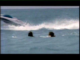 Les Vacances de L'amour