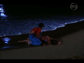 Les Vacances de L'amour