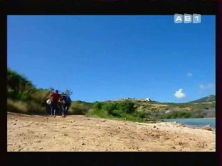 Les Vacances de L'amour