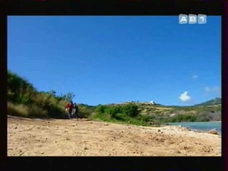 Les Vacances de L'amour