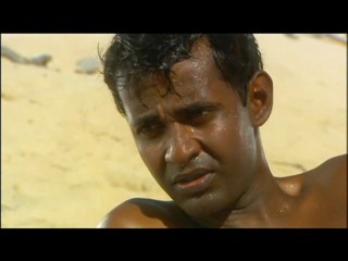 Les Vacances de l'amour