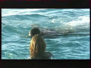 Les Vacances de L'amour