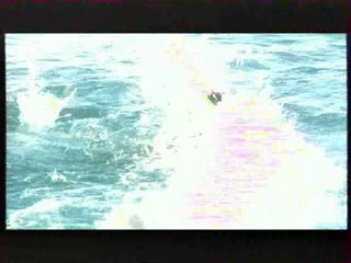 Les Vacances de L'amour