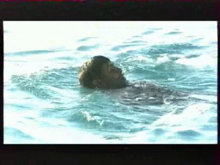 Les Vacances de L'amour