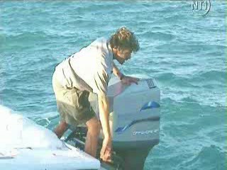 Les Vacances de L'amour