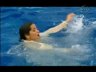 Les Vacances de l'amour