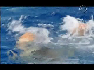 Les Vacances de l'amour