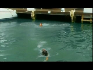 Les Vacances de l'amour