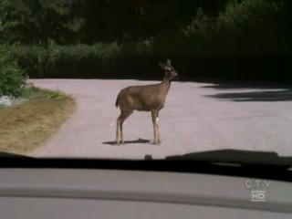 Desperate Housewives