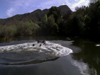 Desperate Housewives