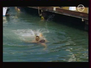 Vacances de l'amour 16