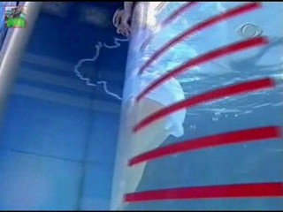 Boa Noite - Luciana Picorelli