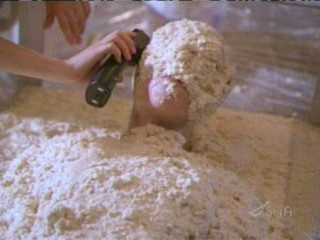 Return to Cabin by the Lake