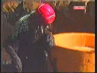 Japan Mud Cup scene - Takeshi Castle