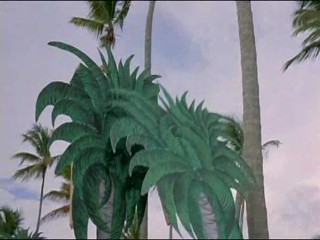 Explosive Brigade, Pirateâ€™s Mission