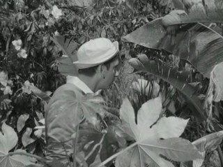 Gilligan's Island (1964)- Voodoo Something to Me (Ep.2)