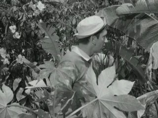 Gilligan's Island (1964)- Voodoo Something to Me (Ep.2)