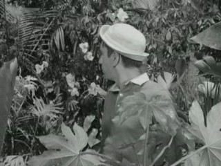 Gilligan's Island (1964)- Voodoo Something to Me (Ep.2)