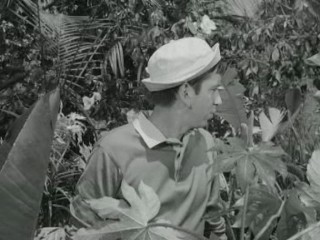 Gilligan's Island (1964)- Voodoo Something to Me (Ep.2)