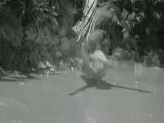 Gilligan's Island (1964)- Voodoo Something to Me (Ep.2)