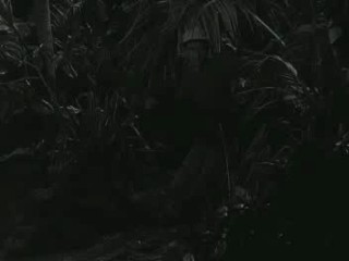 Gilligan's Island- Water Water Everywhere