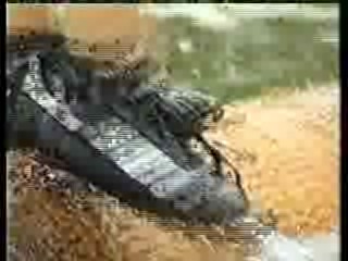 Who Dares Wins,  Home and Away,  Log Rolling