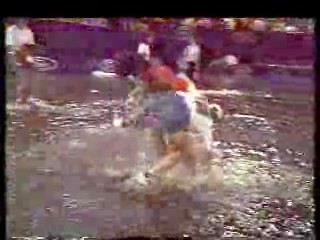 Austrian TV news,  Australian talk show