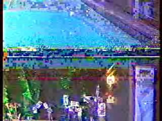 Austrian TV news,  Australian talk show