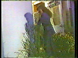 Australian TV dramas (2)