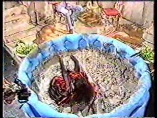 Australia's Funniest Home Videos,  Drumstick commercial,  Carefree commercial,  Australian talkshow