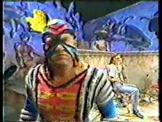 Australia's Funniest Home Videos,  Drumstick commercial,  Carefree commercial,  Australian talkshow