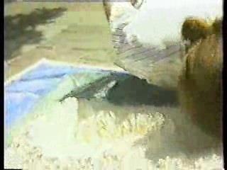 Australian variety show,  Who Dares Wins,  Wet Girdles Shoot