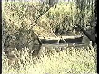 Australian TV drama,  It's A Knockout (Aussie version)