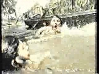 Australian TV drama,  It's A Knockout (Aussie version)