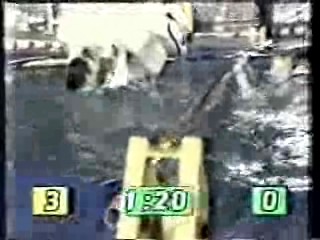 It's A Knockout,  Australian TV drama