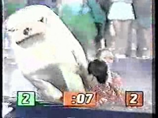 It's A Knockout (Australian version)