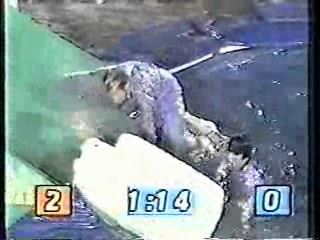 It's A Knockout (Australian version)