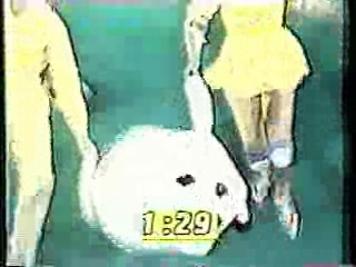 It's A Knockout (Australian version)