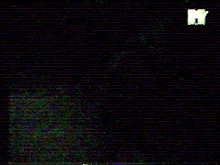 Where the Wild Roses Grow