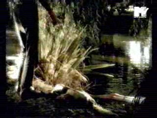 Where the Wild Roses Grow