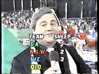 It's A Knockout (Australian version)