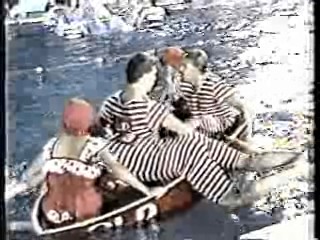 It's A Knockout (Australian version)