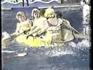 It's A Knockout (Australian version)