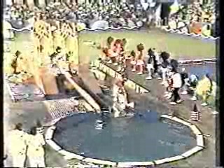 It's A Knockout (Australian version)