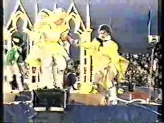 It's A Knockout (Australian version)