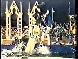 It's A Knockout (Australian version)