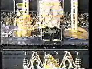 It's A Knockout (Australian version)